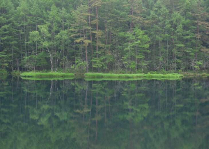 水面に木々が映り込む御射鹿池の写真